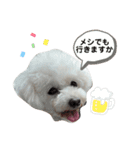博多娘のゆりちゃん（個別スタンプ：20）
