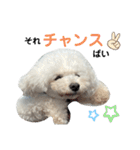 博多娘のゆりちゃん（個別スタンプ：23）