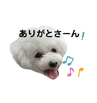 博多娘のゆりちゃん（個別スタンプ：24）