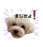 博多娘のゆりちゃん（個別スタンプ：30）