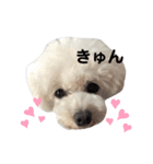 博多娘のゆりちゃん（個別スタンプ：32）
