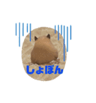大きくなったキンクマハムスターたんぽぽ（個別スタンプ：21）