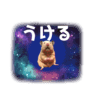 大きくなったキンクマハムスターたんぽぽ（個別スタンプ：23）