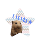 大きくなったキンクマハムスターたんぽぽ（個別スタンプ：24）