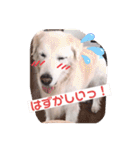 林さん家のぷりんちゃん（個別スタンプ：14）