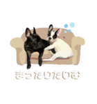 フレンチブルドッグ なるとろ（個別スタンプ：26）