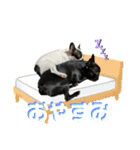 フレンチブルドッグ なるとろ（個別スタンプ：32）