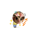 もんchan（個別スタンプ：6）