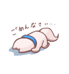 しろいーぬとおともだち（個別スタンプ：20）
