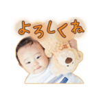 プクまるスタンプ（個別スタンプ：3）