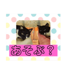 黒白猫☆カンパネルラくんとジョバンニくん（個別スタンプ：4）