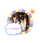黒白猫☆カンパネルラくんとジョバンニくん（個別スタンプ：6）