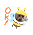 トイプーたろうくん（個別スタンプ：18）