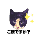 三毛猫チャーリー（個別スタンプ：2）