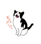 白黒ねこハチワレ（個別スタンプ：4）