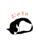 白黒ねこハチワレ（個別スタンプ：5）
