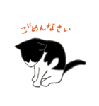 白黒ねこハチワレ（個別スタンプ：6）