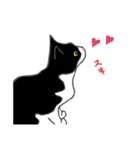 白黒ねこハチワレ（個別スタンプ：9）