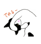 白黒ねこハチワレ（個別スタンプ：11）