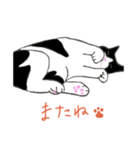 白黒ねこハチワレ（個別スタンプ：16）