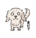 愛犬Zuu（個別スタンプ：7）