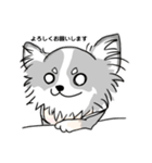 愛犬Zuu（個別スタンプ：10）