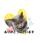 こたまちゃんビジネススタンプ（個別スタンプ：4）