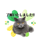 こたまちゃんビジネススタンプ（個別スタンプ：5）