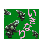 カエルとヤモリ？のスタンプ（個別スタンプ：14）