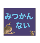 カエルとヤモリ？のスタンプ（個別スタンプ：21）