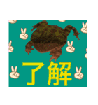 カエルとヤモリ？のスタンプ（個別スタンプ：22）