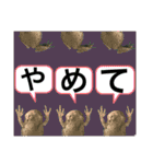 カエルとヤモリ？のスタンプ（個別スタンプ：27）