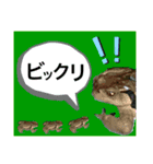 カエルとヤモリ？のスタンプ（個別スタンプ：39）