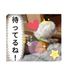 我が家の愛犬「チロ」（個別スタンプ：13）