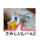 我が家の愛犬「チロ」（個別スタンプ：16）