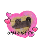 モモちゃん！！（個別スタンプ：3）