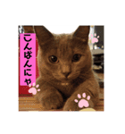 モモちゃん！！（個別スタンプ：4）