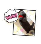 モモちゃん！！（個別スタンプ：8）