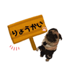 フレブルとパグ♡BONDEN♡（個別スタンプ：4）