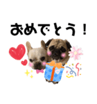 フレブルとパグ♡BONDEN♡（個別スタンプ：16）