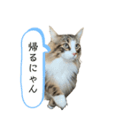ツナときなこ（個別スタンプ：4）