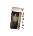 ツナときなこ（個別スタンプ：6）