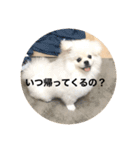 まるいおもち。（個別スタンプ：2）