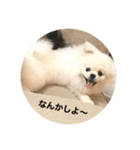 まるいおもち。（個別スタンプ：8）