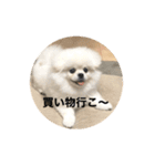 まるいおもち。（個別スタンプ：9）