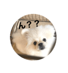 まるいおもち。（個別スタンプ：10）
