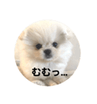 まるいおもち。（個別スタンプ：18）