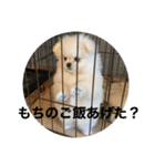 まるいおもち。（個別スタンプ：27）