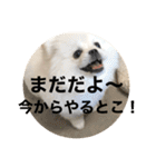 まるいおもち。（個別スタンプ：28）