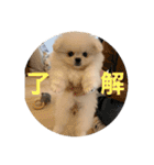 まるいおもち。（個別スタンプ：32）